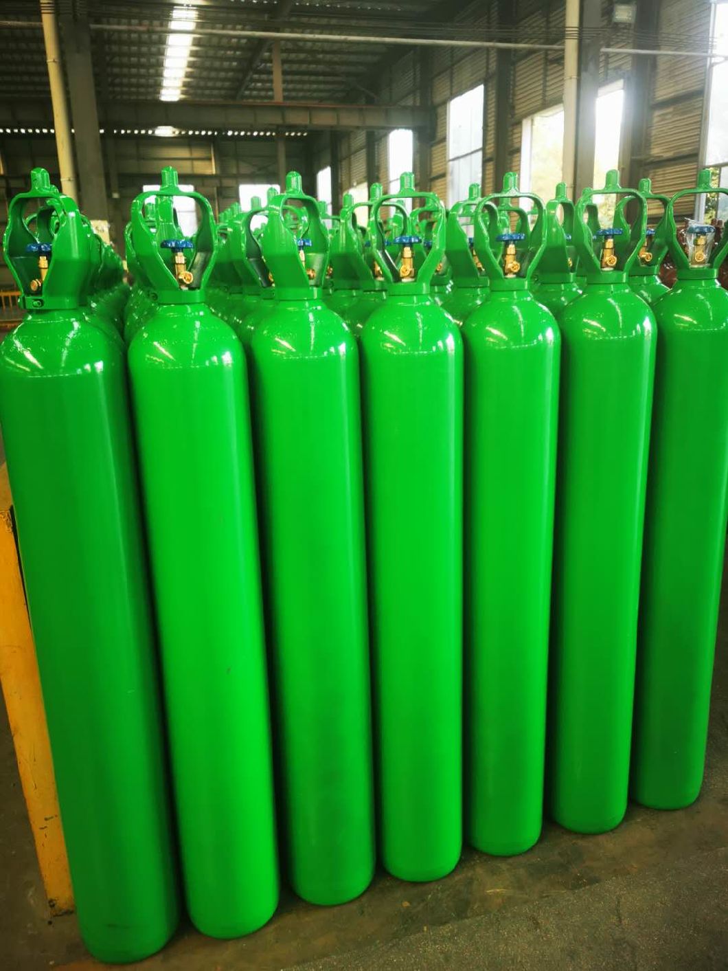 Gas Cylinder Common Tulip Semi-Circle 